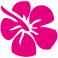 Sticker fleur Hibiscus