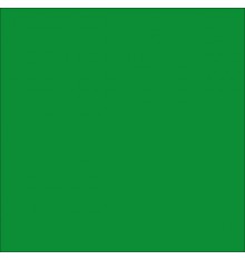 Rouleau de sticker au mètre vert